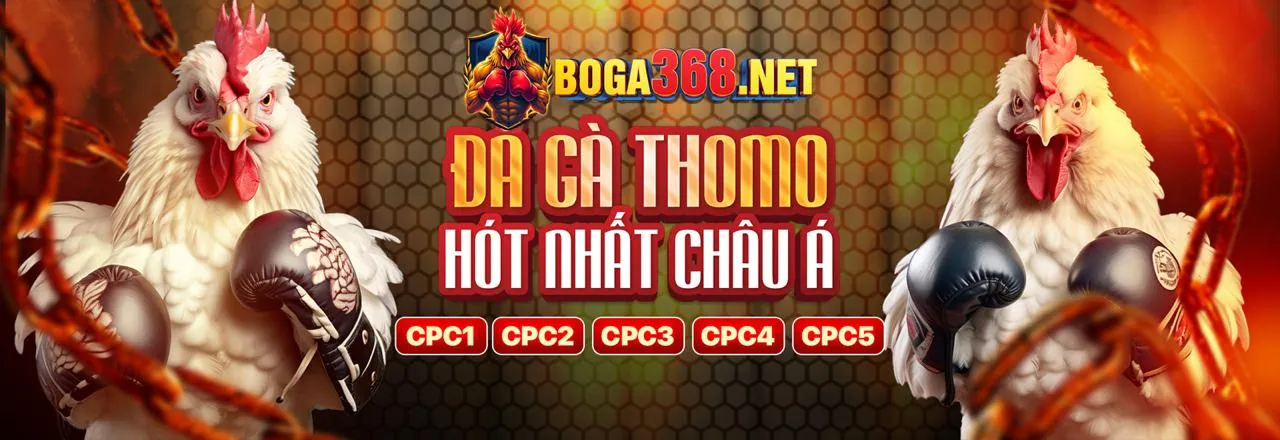Ứng dụng di động mmwin bet