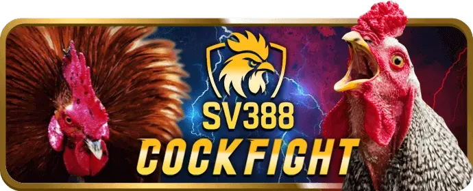 Cá cược thể thao mmwin bet